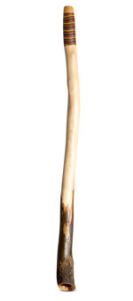Heartland Didgeridoo (HD517)